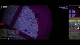 RotMG - For one, magical moment... I was actually good at the game.