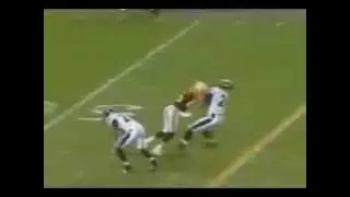 Hines Ward Levels Ed Reed