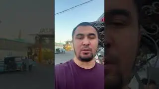 Avtobus Piter Moskva Toshkent 2024
