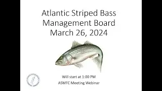 Atlantic Striped Bass Management Board Proceeding March 2024
