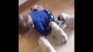 Komik Video 16