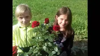 Ролик бригады УТО Шунга