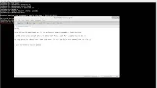 SMOS Linux 1.3 - How to make autostart script (using shell/putty)