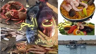 آسفي مدينة السمك الطري 🐟🦀🐠🦑🦞