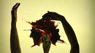 Spring will come - Sand animation by Olga Radzetskaya