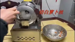 110V/220V Electric Vegetable Cutter Wire Cutter Commercial Automatic Slicer Potato and Radish Shred