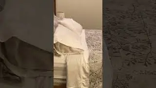 Чем отель отличается от мотеля