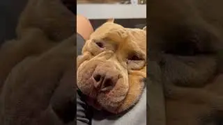 Вот и поговорили 😀