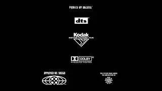 Ice Age end credits remake. (TV Version.)