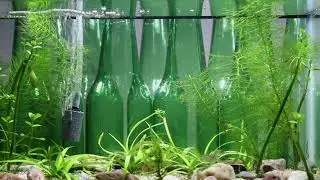 Two and a Half Minutes of the Two and a Half Gallon