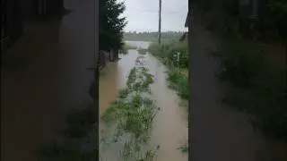 Ясная поляна Ангарск 22.07.2024 Китой прибывает
