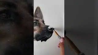 Drawing a dog nose in coloured pencil