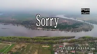 Cueshé - Sorry (Karaoke/Lyrics/Instrumental)