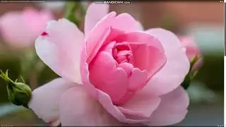 Возможности у всех одинаковые !