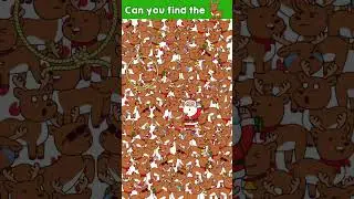Can you find the Rudolph? 