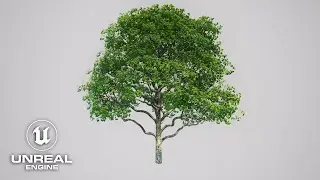 Trees Vol. 5 Maple Trees | Single Wind Tree Demo | BFP 2.6 | UE5.3 #unrealengine #UE5 #gamedev