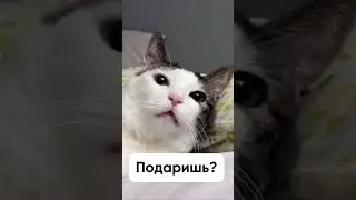 Хочу малину #shorts
