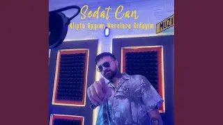 Alıpta başımı nerelere gideyim (sen söyle)