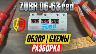 Zubr D6-63 red (Rbuz D6-63 red) - обзор, схемы подключения, разборка