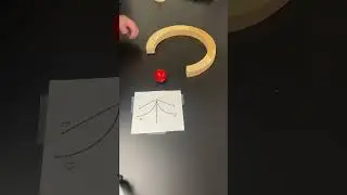 Centripetal or Centrifugal Force Demo? 