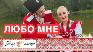 «Любо мне»  -  Исполняет ансамбль «Борода Folk» на телеканале "Жар Птица", в программе "Эх, казаки"
