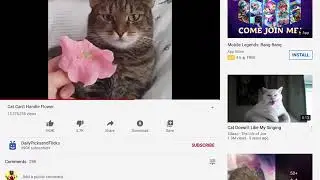 No flowers for Valentine’s Day