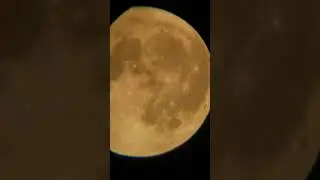Осетровая луна 20240820 210543