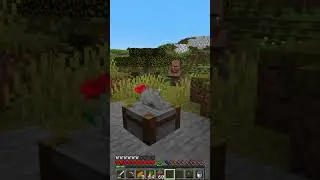 Follow the Leader #minecraft