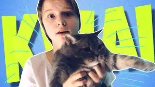 РЕАКЦИЯ НА  KWAI УБЕЙТЕ МЕНЯ СРАЗУ | ARIGO
