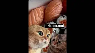 Де гроші? Котики гумор 