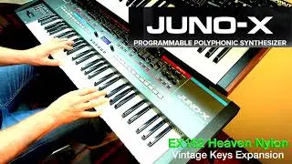 Roland Juno X - Amazing Guitars (Vintage Expansion)