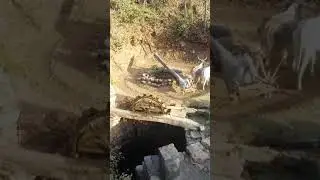 Old water pump "Chards" pehle ke log pani kese niklte tha
