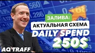 Актуальный залив | 17.09  | AQTRAFF