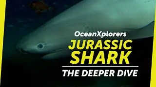 OceanXplorers: Jurassic Shark - The Deeper Dive