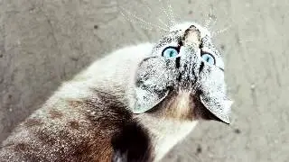 Детская сказка 