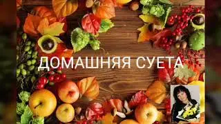 Обзор теплицы на 24.03.2020.