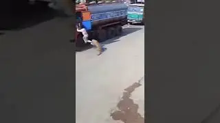 Защитники хозяева #shorts