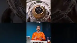 Больше про чай в @chaekshop — подписывайся, чтобы заваривать только вкусный и качественный чаёк!