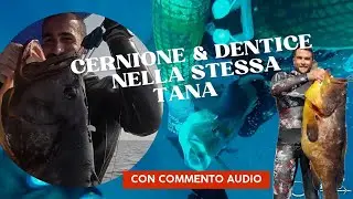 Un DENTICE ed un CERNIONE nella stessa TANA - Storie di pesca.