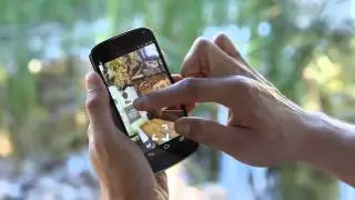 Google Maps Business View