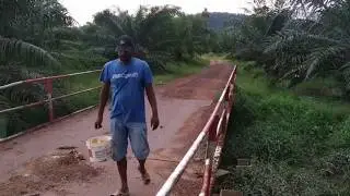 CARA LAIN TANGKAP IKAN HARUAN SELAIN PANCING DAN JALA