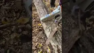 #stihlgta26 #веткорез #stihl #chainsaw #штіль