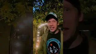 Самая большая чайхана Сайёх в Душанбе 