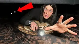 SURVIVING The SCARIEST HOTEL in THE WORLD | Room 1010