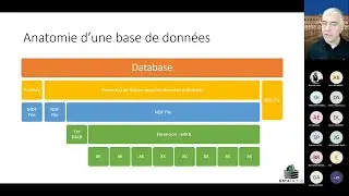 SQL Server, les structures de données