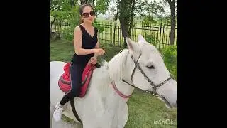 Казахстан, Шымкент 