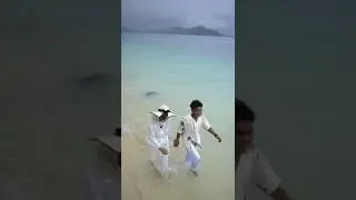 prawedding #shorts #short #shortvideo #shortsvideo #shortsyoutube