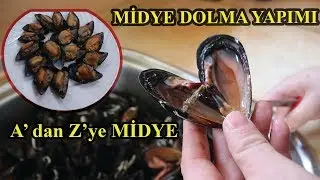 MİDYE HAKKINDA HERŞEY! (MİDYE DOLMA YAPIMI)