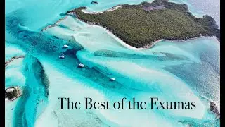 The Best of the EXUMAS - Do You Want to Come Travel With Us?  (S5 E7 Barefoot Travels)