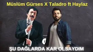 Müslüm Gürses X Taladro ft Haylaz - Şu Dağlarda Kar Olsaydım